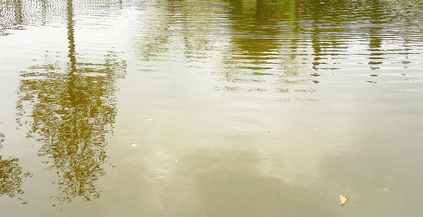 Reflection waves 2. Волны отражения 2.