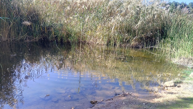 Reflection waves 3.  Волны отражения 3.