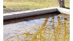 Reflection waves.  Волны отражения.