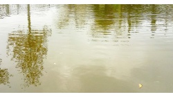 Reflection waves 2. Волны отражения 2.