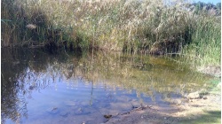 Reflection waves 3.  Волны отражения 3.